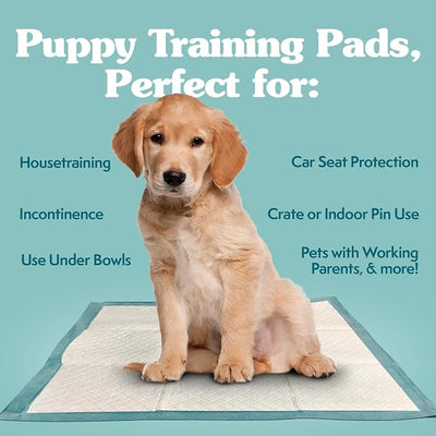 Simple Solution Extra Large Pee Pads For Dogs, Puppy Potty Training, Leak Proof Dog Pads, Pet Pee Pad, Disposable Puppy Pad, XLARGE 28"x30", 100 Count