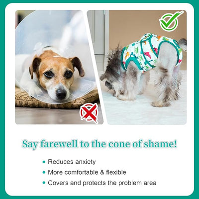 Dog Surgery Recovery Suit,Female Male Dog Onesie for Spay Neuter,Substitute E-Collar & Cone,Anti-Licking Breathable Onesie for Small Medium Large Dogs,Dinosaur XS