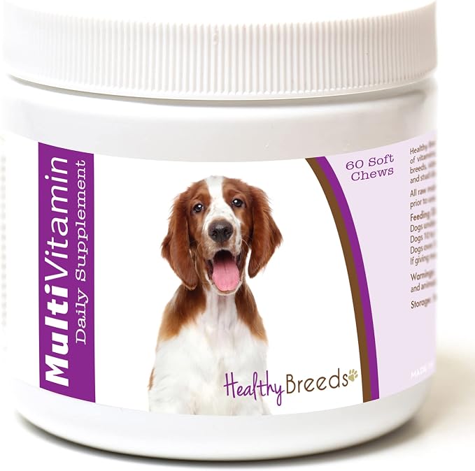 Welsh Springer Spaniel Multi-Vitamin Soft Chews 60 Count
