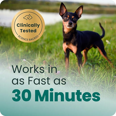 VetriScience Calm & Confident Chews, Composure Clinically Tested Calming and Anxiety Supplement for Small Dogs Under 30 lbs, Reduce Stress, Ideal for Thunderstorms and Fireworks, Chicken, 30 Count