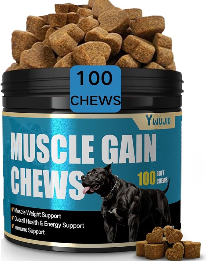 Muscle Gain Chews Dog Weight Gainer Supplements with High Protein & Canine Amino Acids Puppy Vitamins Canine Muscle Builder Formula for Bully & All Breeds Puppies & Adult & Senior Dogs-100