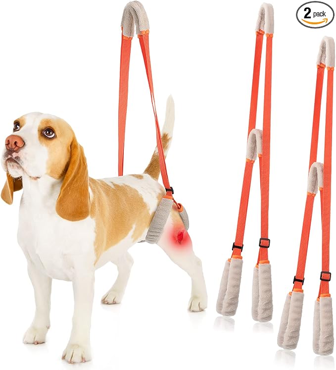 2 Pcs Dog Support Harness for Back Legs Dog Rear Lifting Sling Aid with Handle and Shoulder Strap Hind Leg Support for Pet Mobility Helps Puppy with Poor Stability Joint Injuries(Orange)