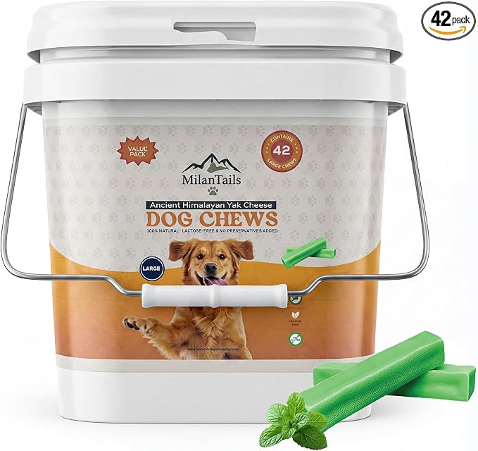 Premium Natural Fruit-Flavored Himalayan Yak Chew for Dogs, All-Natural, Long-Lasting (Large 42 Pack Bucket, Mint)