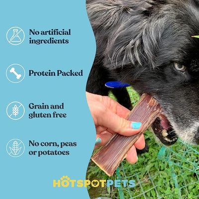 hotspot pets Beef Jerky Dog Treats Esophagus (6 Inches- 20 Pack) - 100% Natural Healthy Chews for Dogs - Meat Jerky Snack, Rich in Glucosamine for Joint Health,All Natural from Grass Fed Cattle
