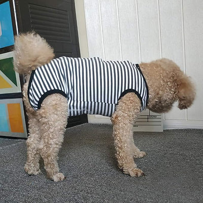 Dog’s Recovery Suit Post Surgery Shirt for Puppy, Wound Protective Clothes for Little Animals(Black White Stripe-XL)