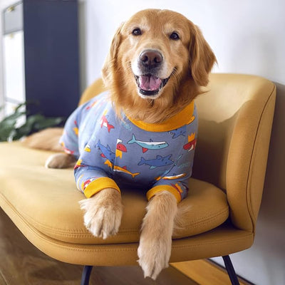 Dog Recovery Suit After Surgery Female Male, Medium Large Dog Neuter Shirt Cone Alternatives Prevent Licking Surgical Onesies (Grey Shark, XL)