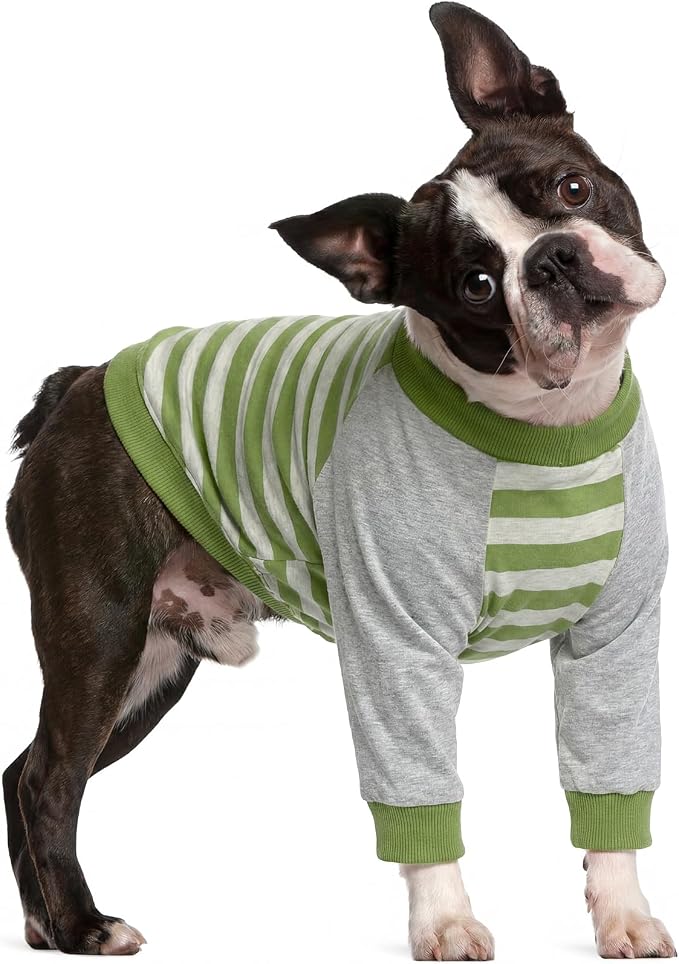 Dog Recovery Sleeve with Elbow Protector,Dogs Shirt Stop Licking Joints,Pet Long Sleeve Suit Protecting Dog's Front Leg Arm Wounds Cover Skin Conditions Green Stripes S