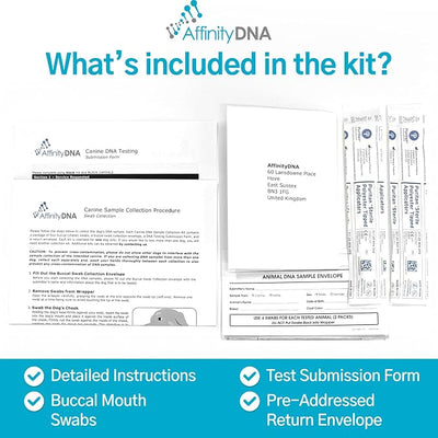 Dog Uric Acid DNA Test for Hyperuricosuria | Home Sample Collection Kit for 1 Canine | Dogs Uric Acid Testing | Results in 7 Working Days | A Complete Kit with No Extra Fees