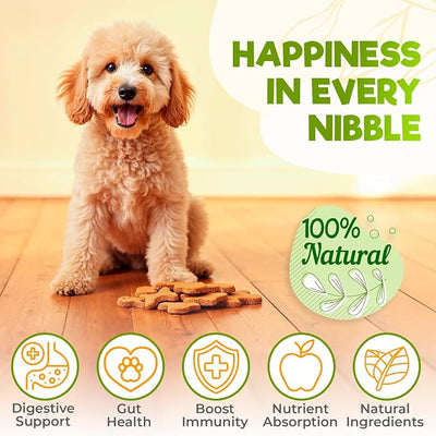 ZENO Probiotics for Dogs Chews - 150 pcs - Digestive & Gut Health Support - Probiotic Chews for Dogs with Enzymes & Natural Ingredients -US Formula - Grilled Beef