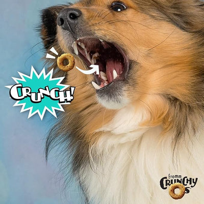Fromm Crunchy Os Banana Kablammas Dog Treats - Premium Crunchy Dog Treats - Banana Recipe - 26 oz