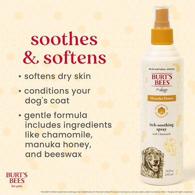 Burt's Bees for Pets Itch Relief Spray for Dogs, Manuka Honey & Chamomile, Soothes Itchy Skin Between Baths, Naturally Derived, No Artificial Fragrances, Sulfates or Colorants, 10 Fl Oz