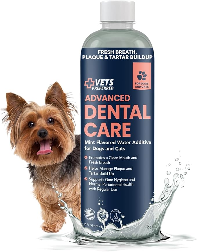 Dog Breath Freshener & Water Additive for Dental Care – Fights Bad Breath, Removes Tartar & Plaque – Dog Mouthwash for Healthy Teeth & Gums, Gingivitis Support – Mint Flavor