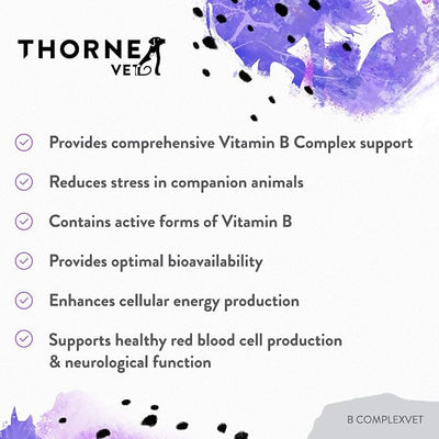 ThorneVET B ComplexVET – Vitamin B Complex Support for Dogs & Cats - 60 Soft Chews