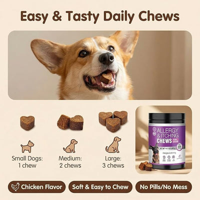 Dog Allergy Chews for Dogs, Itch Relief Support for Itchy Skin, Paw Licking & Itchy Ears, Skin & Coat Health with Colostrum & Probiotics, Chicken Flavor Soft Chews, 200 Count