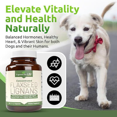 Lignans For Life Flaxseed and SDG - Omega 3 Fatty Acids, Fiber Antioxidants - Helps Improve Shiny Coat, Digestive and Heart Health, 25mg, 90 Capsules, 1 Pack