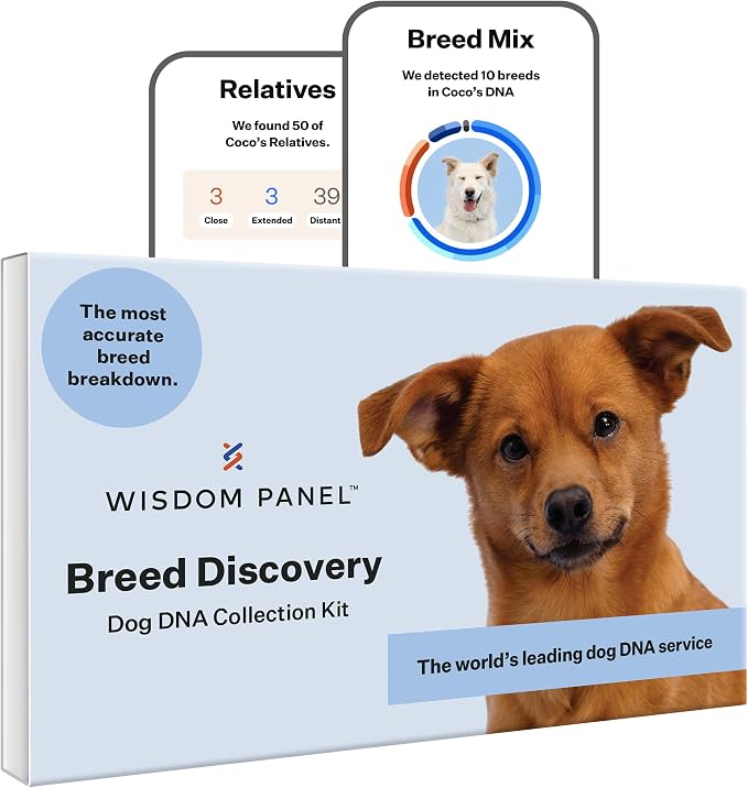 Panel Breed Discovery Dog DNA Testing Kit - Most Accurate Dog Breed Identification - Test for 430+ Breeds, MDR1 Health Test, Ancestry, Relatives