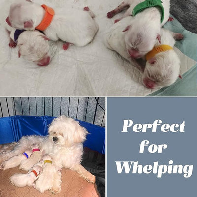 Artilife Whelping Box for Dogs and Puppies Welp Box Whelping Pool,Puppy Whelping Pen for Dogs,Great for Puppies,Easy to Clean (32inch Dia.x8inch H(80x20cm), Blue)