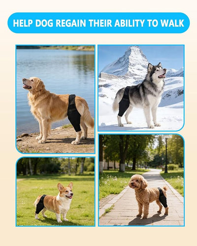 Dog Rear Leg Sleeve to Prevent Licking - Reusable Dog Surgery Recovery Suit with Adjustable Velcro, Breathable Comfortable Recovery Sleeve for Hot Spots & Wounds, Cone Alternative (XL Size)