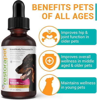 RestoraPet 4-Pack Dog & Cat Bacon Flavor Liquid Multivitamin | Arthritis Pain Relief | Hip & Joint Supplement for Dogs & Cats - Anti Inflammatory | Natural & Non-GMO, Science Backed