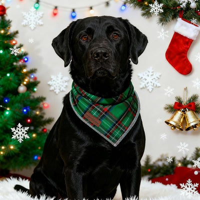 Unique Style Paws Dog Christmas Bandanas 1PC Washable Cotton Triangle Dog Scarfs for Small Medium Large Dogs and Cats-New Green Grid-S