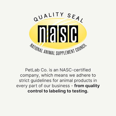 Petlab Co. Joint Care Chews for Dogs - High Levels of Glucosamine, Green Lipped Mussels, Omega 3 and Turmeric - Hip and Joint Supplement for Dogs to Actively Support Mobility, Packaging May Vary