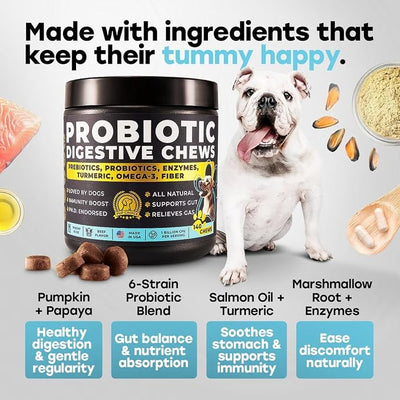 Probiotics for Dogs – Digestion, Gut Health & Firmer Stool | 1 Billion CFU, 6 Strains with Pumpkin, Papaya & Turmeric for All Breeds – Beef Soft Chews