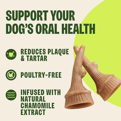 Wellness WHIMZEES Antler Occupy Natural Dog Dental Treat, Chews, Freshens Breath, Small Size, 12.7 oz Bag, 24 Count