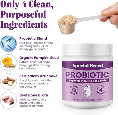 Probiotics for Dogs - Dog Probiotics Powder for Digestive Health, Gut Support & Immune Boost - Premium Blend with Prebiotics & Digestive Enzymes - Maximum Potency - 60 Scoops