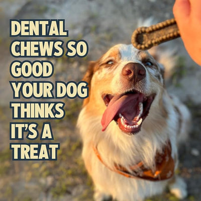 Jiminy's Dental Chews for Dogs, Cinnamon Flavor, Scientifically Proven to Improve Oral Health, Dental Bones Clean Teeth, Fight Bad Breath, and Removes Plaque and Tartar, X-Small, 38ct (Pack of 6)