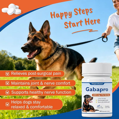 for Large Dogs, 300mg, Hip and Joint Support, Arthritis Comfort for Senior Dogs, Over 75 lbs, 90 Tablets