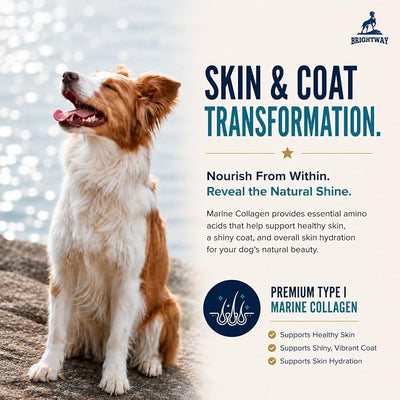 Wild Caught Marine Pet Collagen for Dogs, Peptide for Dogs - Improves Gut, Skin & Coat Health, Allergies, Pet Mobility Hip & Joint Supplement Health