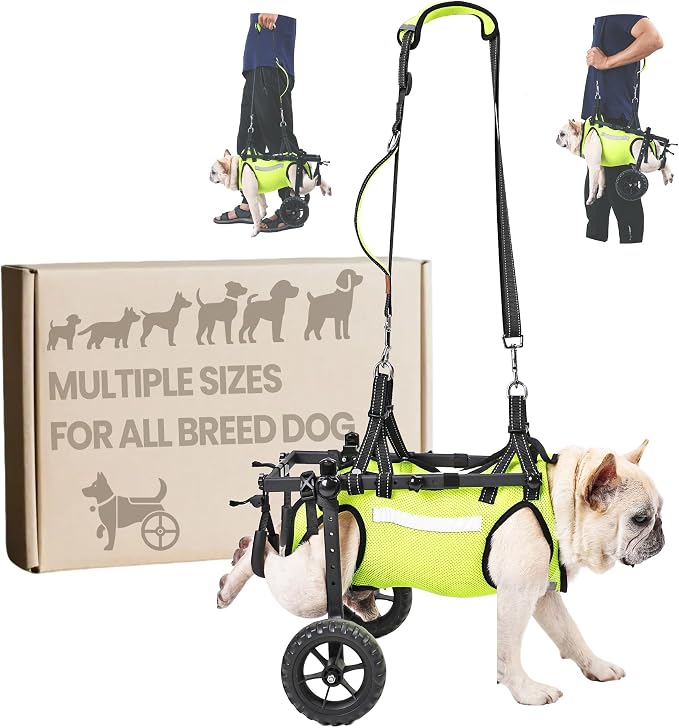 Adjustable Dog Wheelchair for Back Legs, for All Breed Dog - Includes High-Visibility Vest, Leash & Sling Lift, Lightweight Pet Wheelchair for Disabled Hind Legs (Medium, for Small Breed Dog)