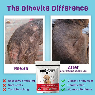 Dinovite Probiotics for Dogs, Probiotic Powder Food Topper for Large Dogs (45+ lb), Daily Digestive Health & Skin Support with Omega-3s, 30 Servings