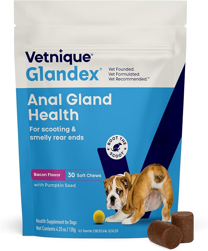 Glandex Anal Gland Soft Chew Treats with Pumpkin for Dogs Digestive Enzymes, Probiotics Fiber Supplement for Dogs Boot The Scoot (Bacon Flavor Chews, 30 Count)