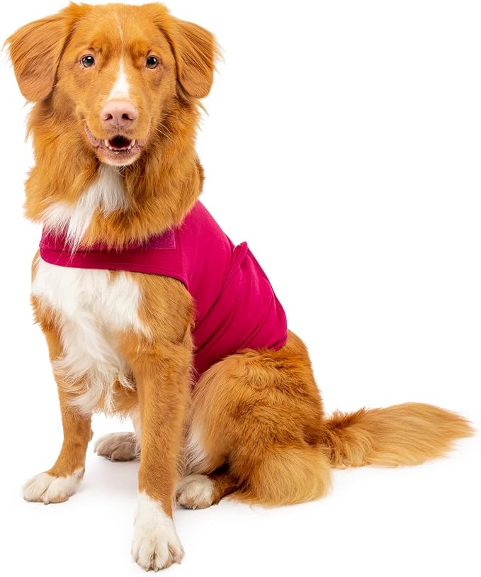 Dog Anxiety Calming Wrap, Medium, Sangria