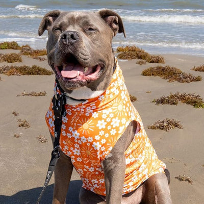 Pittie Clothing Pit Bull Muscle Tee for Dog Breed Dog Shirts Pet Printed Clothes Cool Funny
