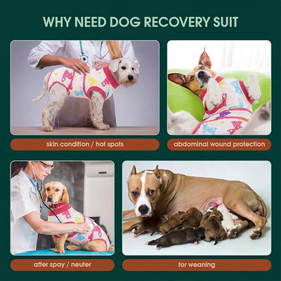 Kuoser Dog Recovery Suit for Female Male After Surgery, Printed Anti-Licking Dog Surgery Suit for Spay Neuter, Breathable Pet Bodysuit for Abdominal Wounds Skin Disease, Cone Alternative Onesie, XL