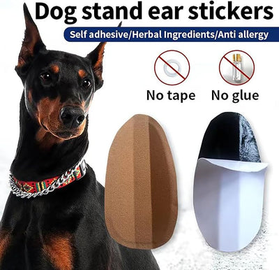 Dog Ear Stand Sticker Up Support Tool, Dog Ear Fixed Correction Vertical Holder for Doberman,new. (1.97 * 3.94)