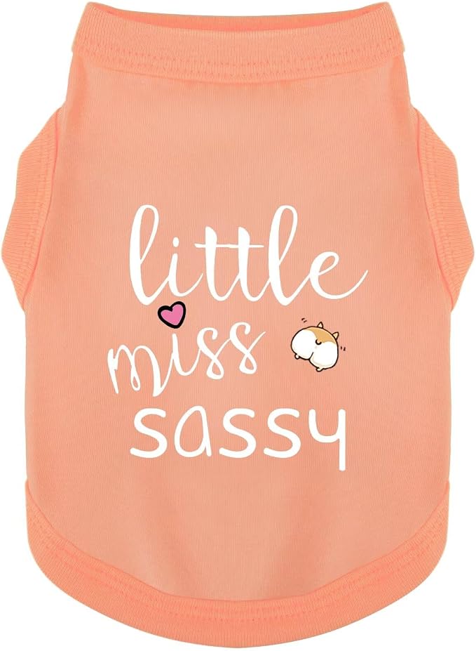 Paiaite Dog Clothes Fashionable Sleeveless Pet Vest: 'Little Miss Sassy' Printed Cotton Dog Shirt, Ideal for Small, Medium, and Large Breeds, Ensuring Comfort and Breathability Orange Pink XXS