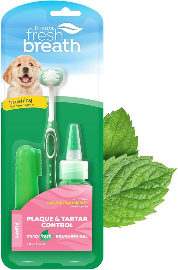 Fresh Breath Toothbrush and Toothpaste Kit for Puppies, Teeth Cleaning Kit to Prevent Plaque & Tartar, Breath Freshener, Dog Dental Care