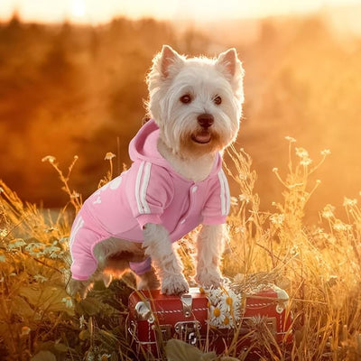 Soft & Warm Dog Outfit Pullover Hoodie - Jumpsuit Sweatshirt for Small to XX-Large Dogs (Pink)
