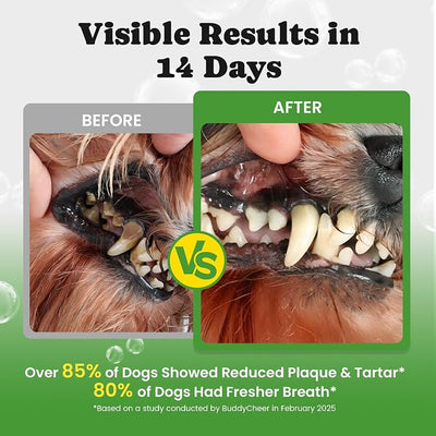 Dog Teeth Cleaning Powder, Dog Dental Powder and Cats Breath Freshener, Plaque Off Pet Tooth Cleaning lab co, Bad Breath & Tartar Remover for Dogs, Dog Teeth Cleaning with Enzymes- 60-Day Supply -Mint