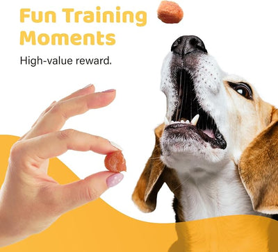 iPaw Turkey Tots Dog Treats for Puppy Training, SQF Certified Human Grade Dog Treat, Hypoallergenic, Easy to Digest (Turkey Tots)