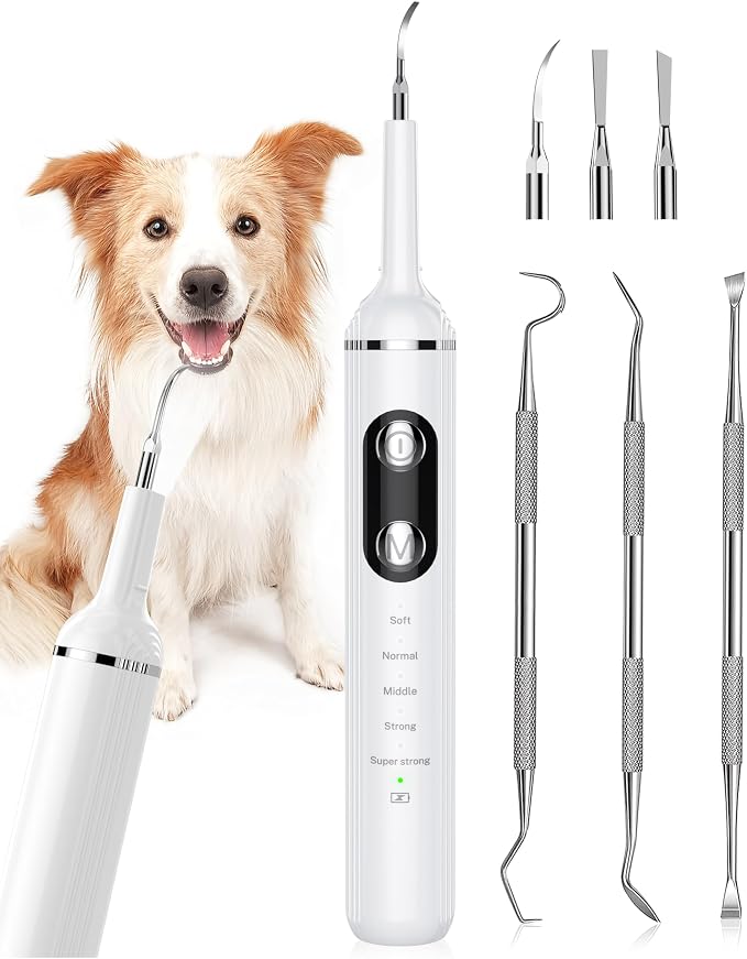 Plaque Remover for Teeth, Pet Tooth Brushing Kit, Dental Tools to Remove Plaque and Tartar, Safe for Dog and Cat, with LED Light, White