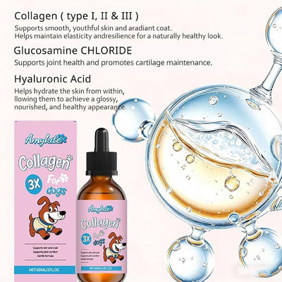 Liquid Collagen for Dogs, Dog Collagen Drops Supplement with Type I, II, III Collagen, Hyaluronic Acid, Glucosamine Hydrochloride Supports for Skin & Coat, Hips & Joints Healthy Collagen, 120ML/4FL.OZ