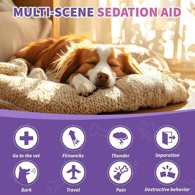 Calming Melatonin for Dogs, 200 Pet Chews Calming Treats for Sleep Aid Sleeping Pills Puppy Melatonin Bites Support Stress, Anxiety Relief, Separation for Small and Large Dogs Chicken