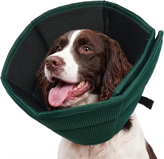 Adjustable Dog Cone for Spay, Comfy Recovery Collar Green L | Breathable & Lightweight; Soft Fabric; Wound Healing & Stitches; Chewing Deterrent; Foldable; Extra Long; Protect Furniture