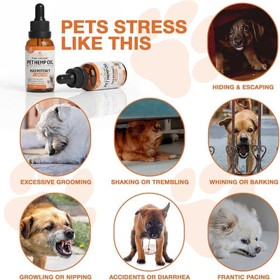 Неmp Oil for Dogs Cats (2-Pack), Organic Dog Anxiеty Relief & Strеss & Pаin Rеlief for Dogs, Supports Hip Joint Health, Rеlaxation & Slеep, Pet Calming Drops