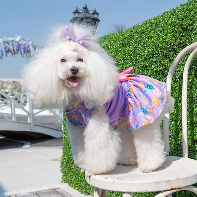 CuteBone White Rabbit Dog Easter Dress Velvet for Small Dogs Girl Eggs Skirt Puppy Purple Dresses Dog Clothes