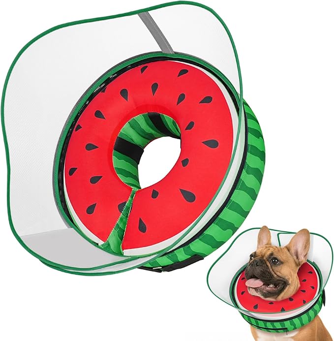 Raised Inflatable Dog Cone After Surgery - Adjustable Recovery Donut Collar with Removable Shield to Stop Licking Wounds & Protect Stitches - Soft Dog Cone Alternative for Dogs (Watermelon,M)